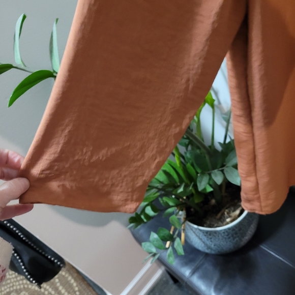 SIZE XL.  Lord and Taylor Rust blouse.  Front pleated blouse. - Picture 3 of 5